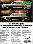 Buick 1976 251.jpg